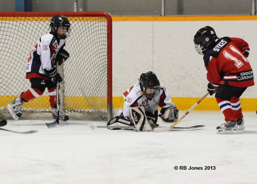 Minto_Novice_LL_-_3.JPG